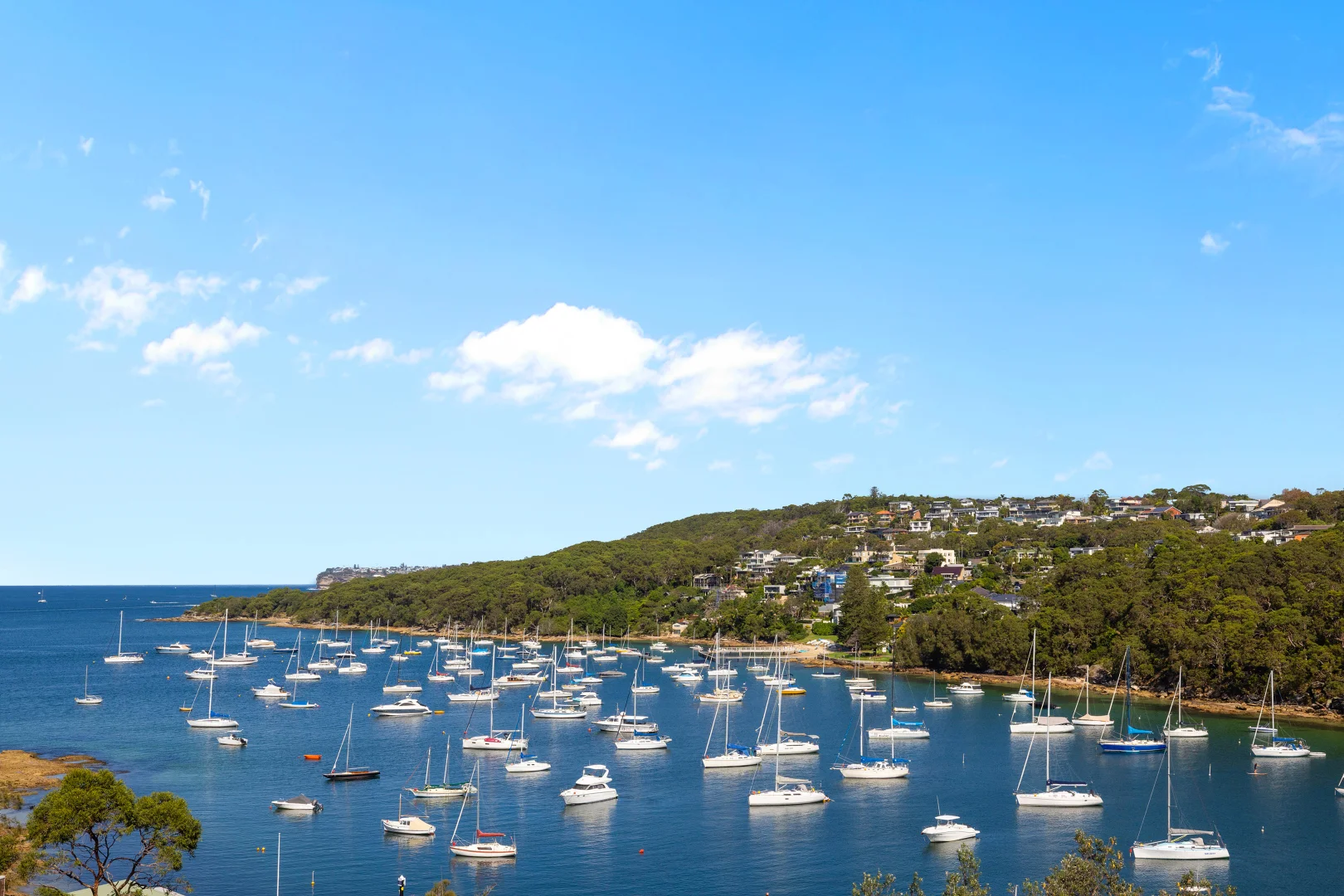 Additional image 17 of 65 Lauderdale Avenue, Fairlight NSW 2094