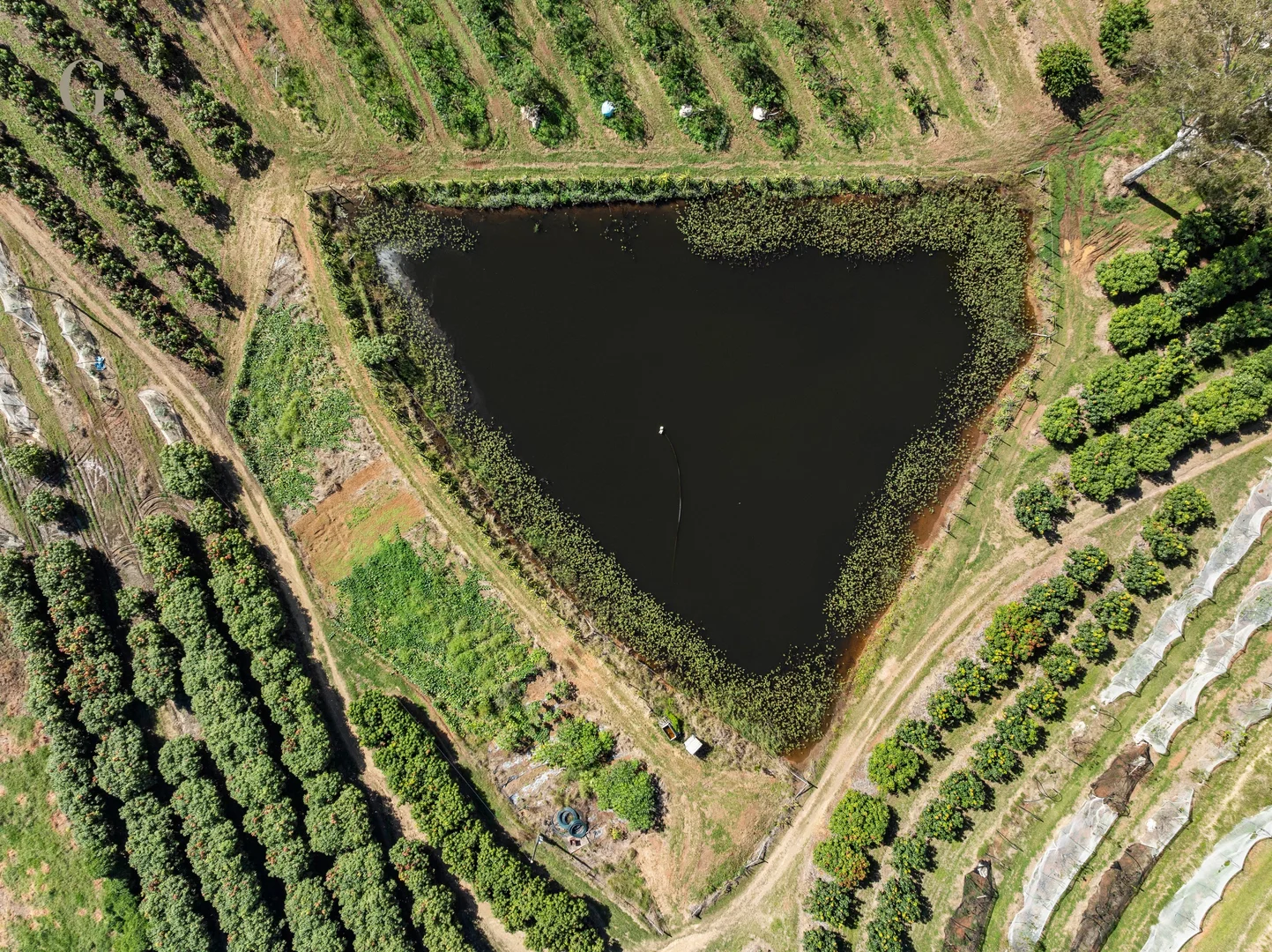 Additional image 20 of 1207 Kandanga Creek Road, Upper Kandanga QLD 4570