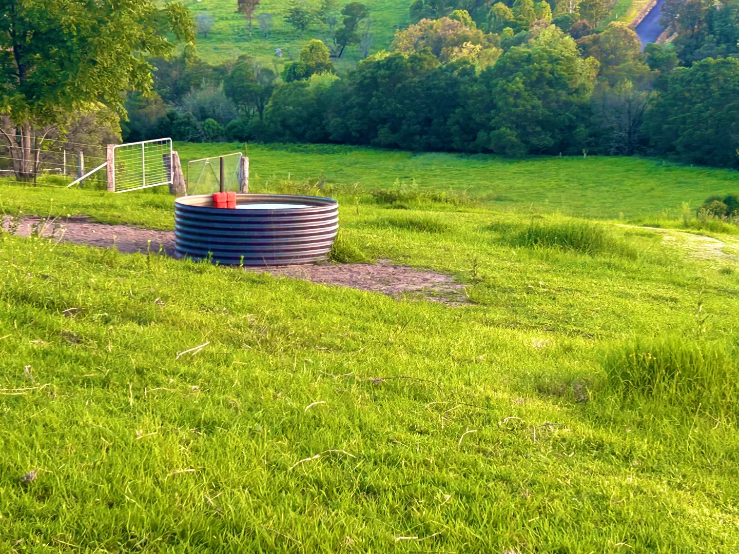 Additional image 8 of 176 Daisy Hill Road, Buckajo NSW 2550