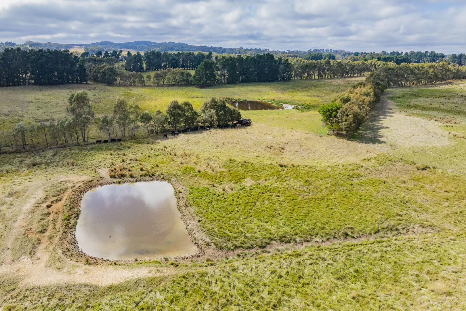 Additional image 33 of 251 Mount Rae Road, Roslyn NSW 2580