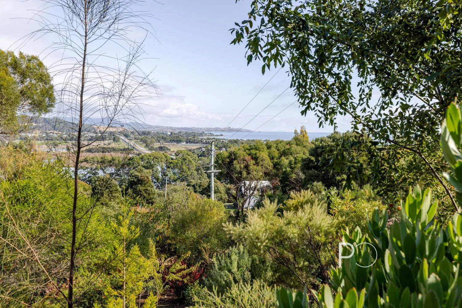 Additional image 27 of 20 Davis Street, Leith TAS 7315