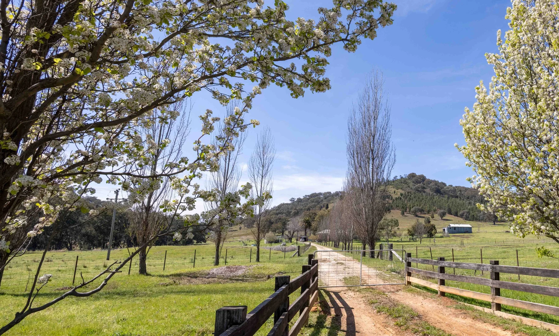 Additional image 18 of 2099 Hill End Road, Mudgee NSW 2850