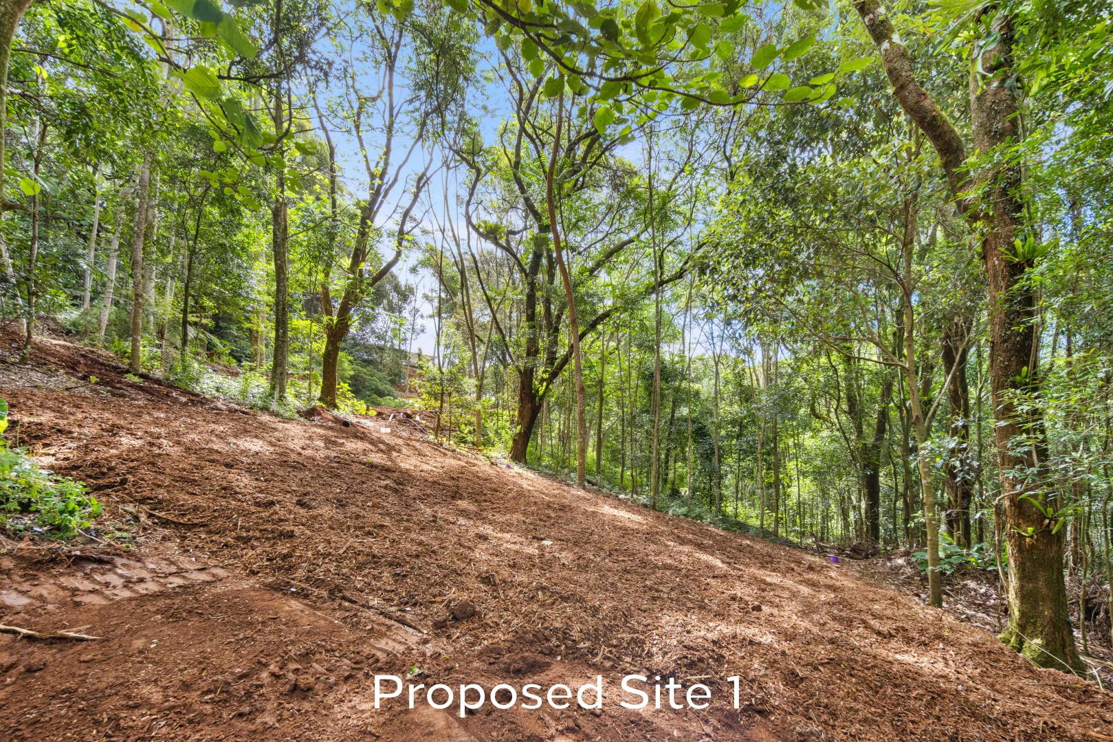 Additional image 13 of 2481 Springbrook Road, Springbrook QLD 4213