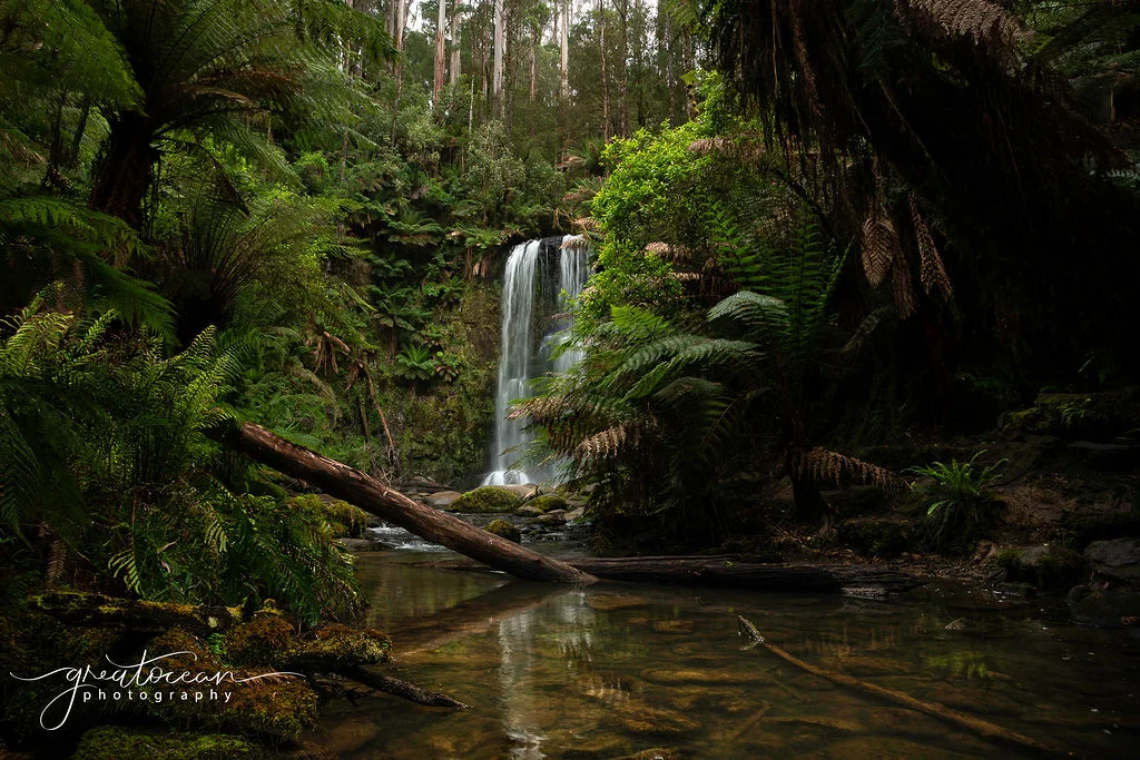 Additional image 11 of 54 Gardner Street, Beech Forest VIC 3237