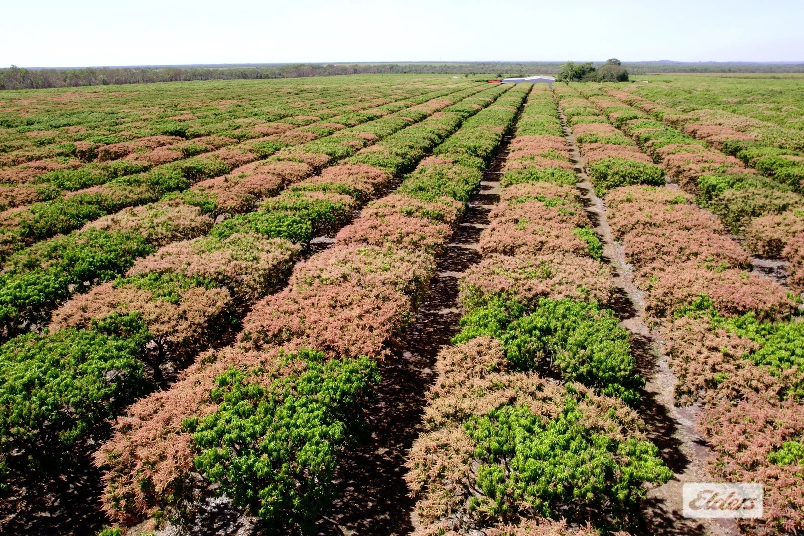 Additional image 6 of 30 Cain Road, Lambells Lagoon NT 0822