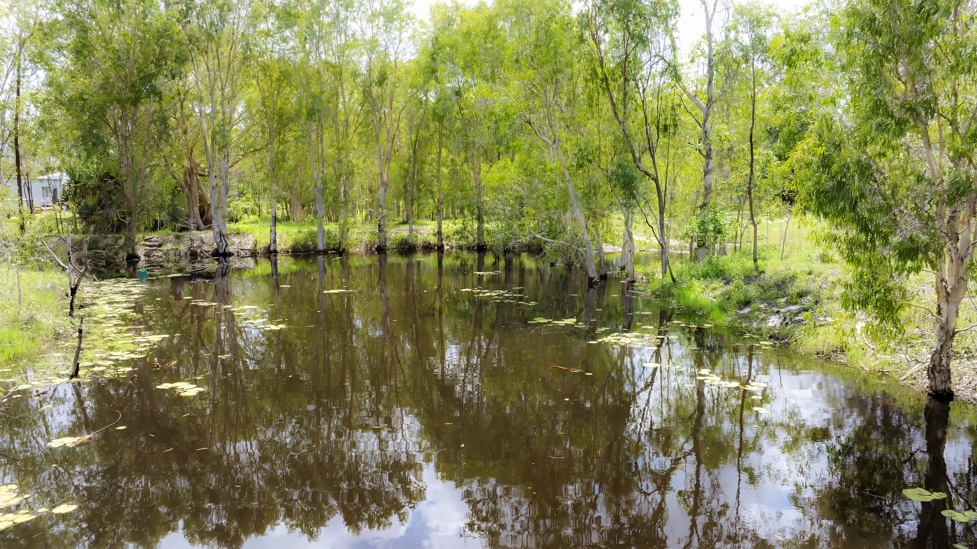 Additional image 10 of 14755 Bruce Highway, Gregory River QLD 4800