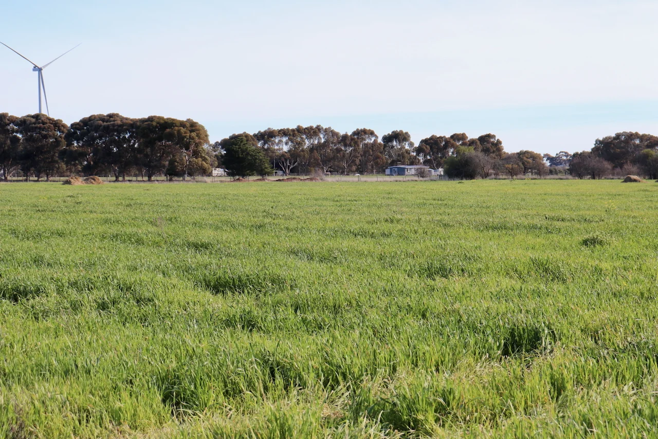 Additional image 8 of 1, 2, 3 &, 4 COLAC-BALLARAT ROAD, Rokewood VIC 3330