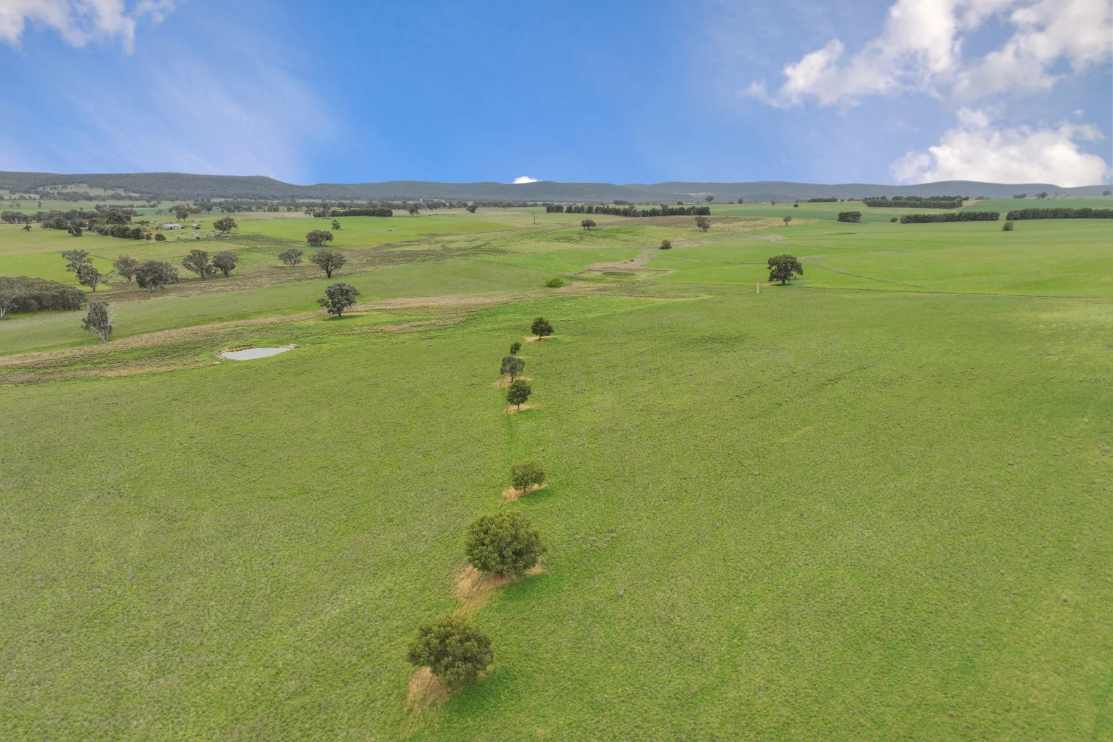 Additional image 3 of "Moura" Waterhole Creek Road, Mandagery NSW 2870