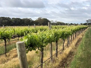 Additional image 3 of 634 Lake Plains Road, Lake Plains SA 5255