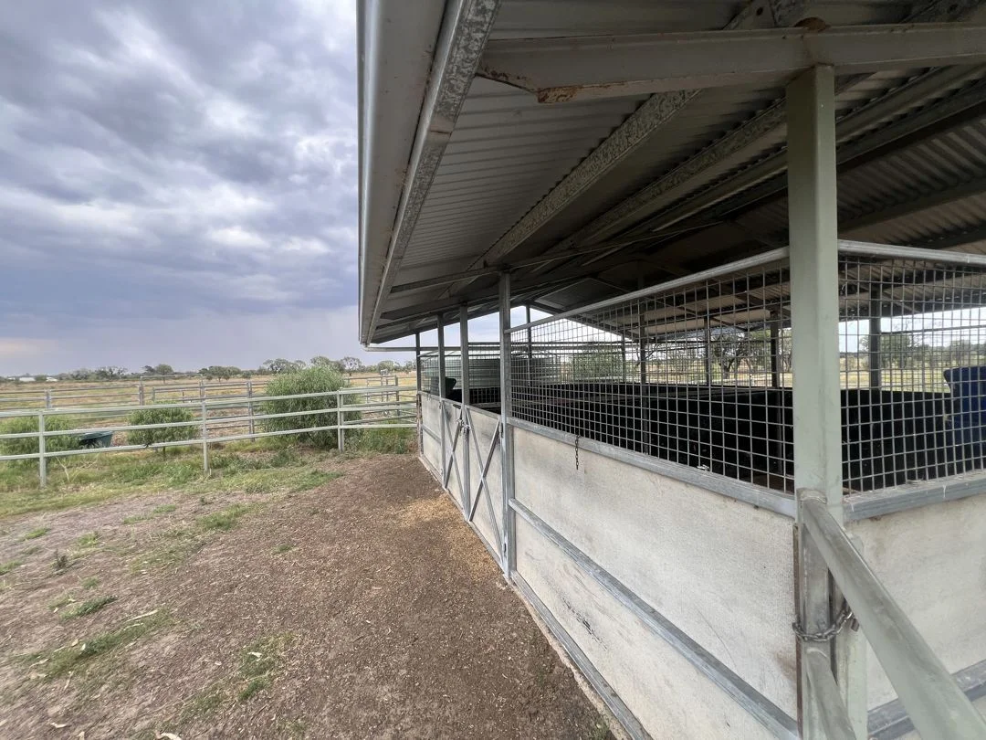 Additional image 21 of 48 Gurley Settlers Road, Gurley NSW 2398