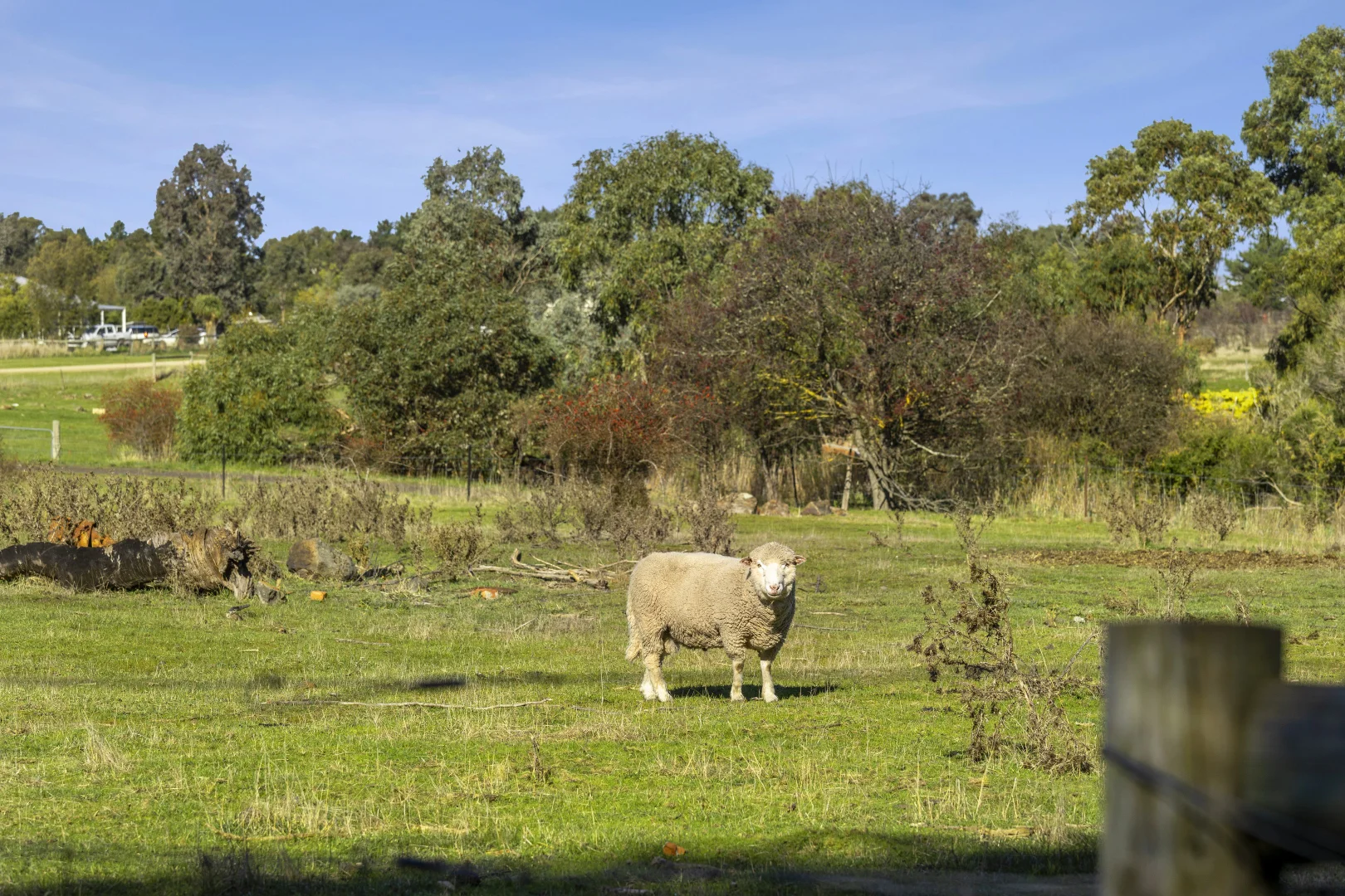 Additional image 22 of 14 Coundon Street, Clunes VIC 3370