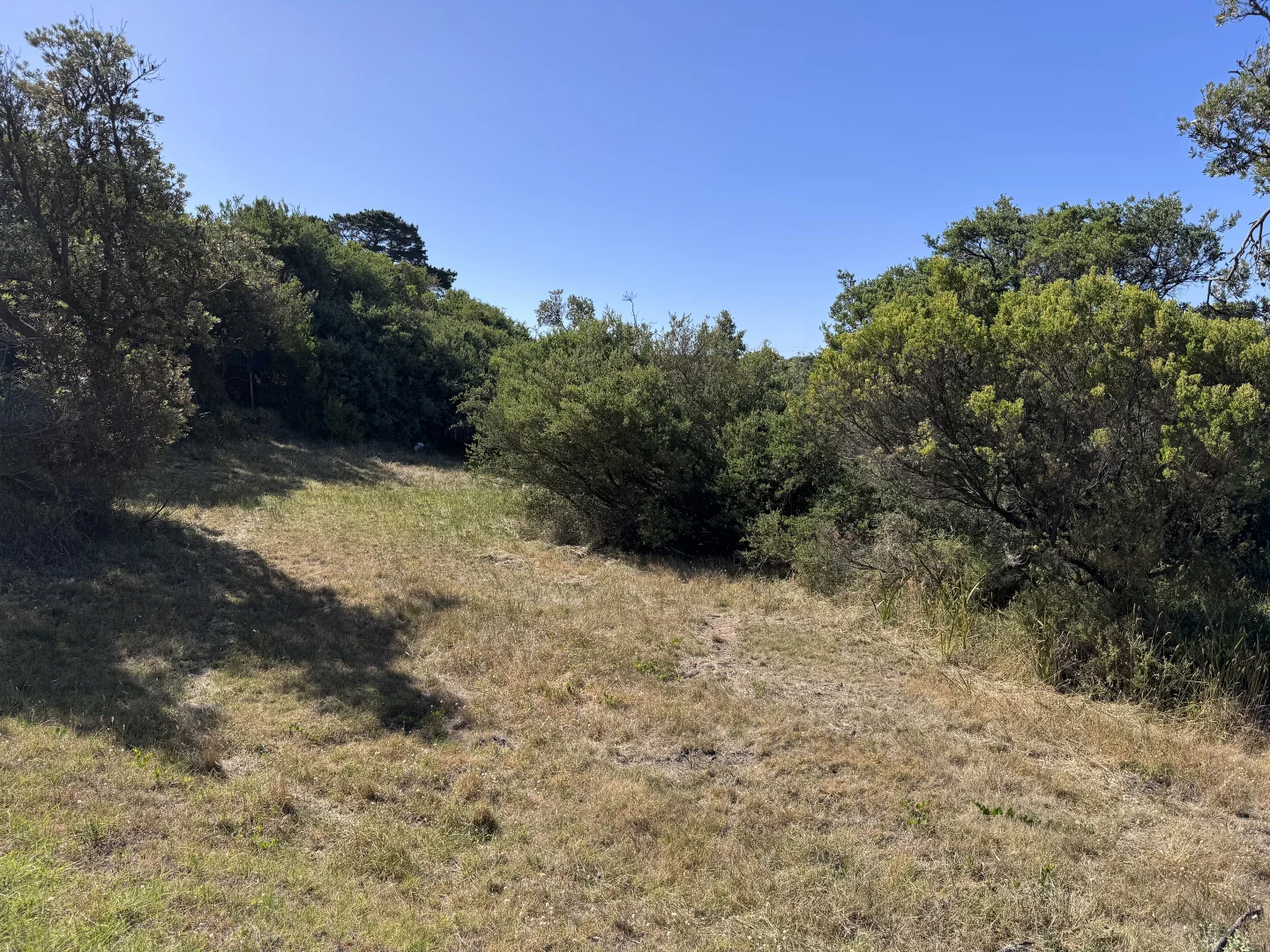 Additional image 2 of 17 St Ives Crescent, Venus Bay VIC 3956