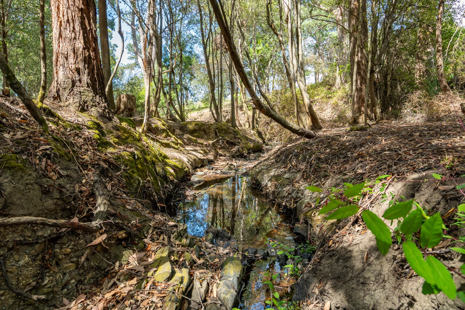 Additional image 14 of 3480 Channel Highway, Woodbridge TAS 7162