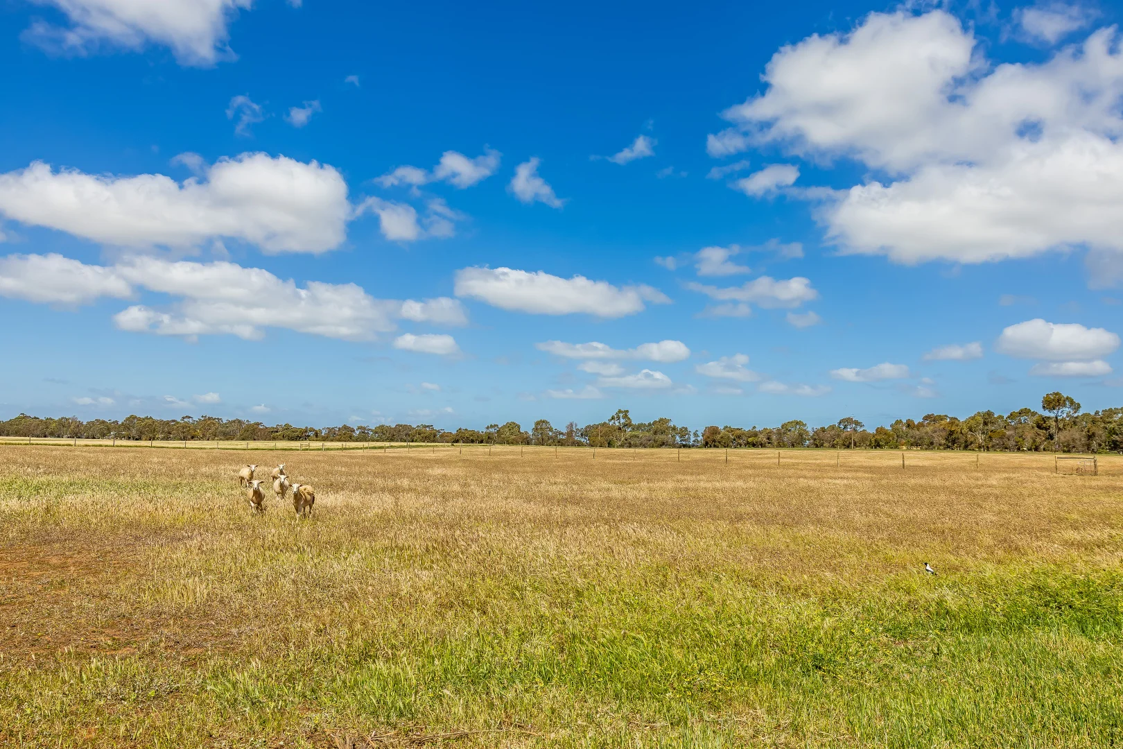 Additional image 66 of 726 Langhorne Creek Road, Belvidere SA 5255
