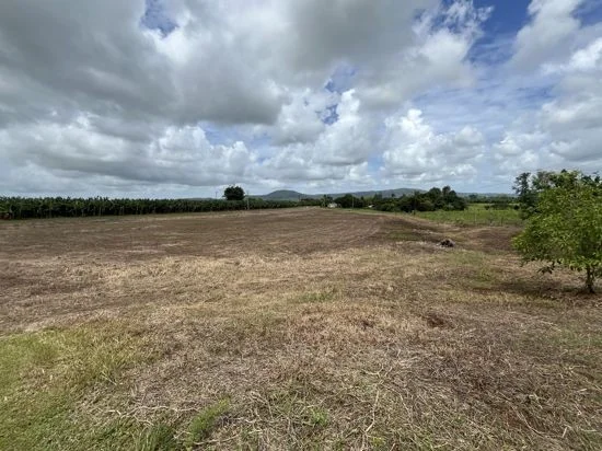 Additional image 20 of 125 Utchee Creek Road, Mena Creek QLD 4871