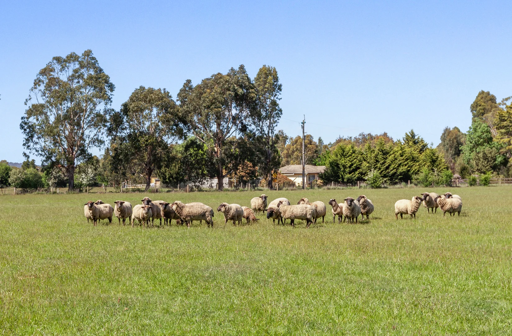 Additional image 16 of 1180 Wallan Whittlesea Road, Upper Plenty VIC 3756