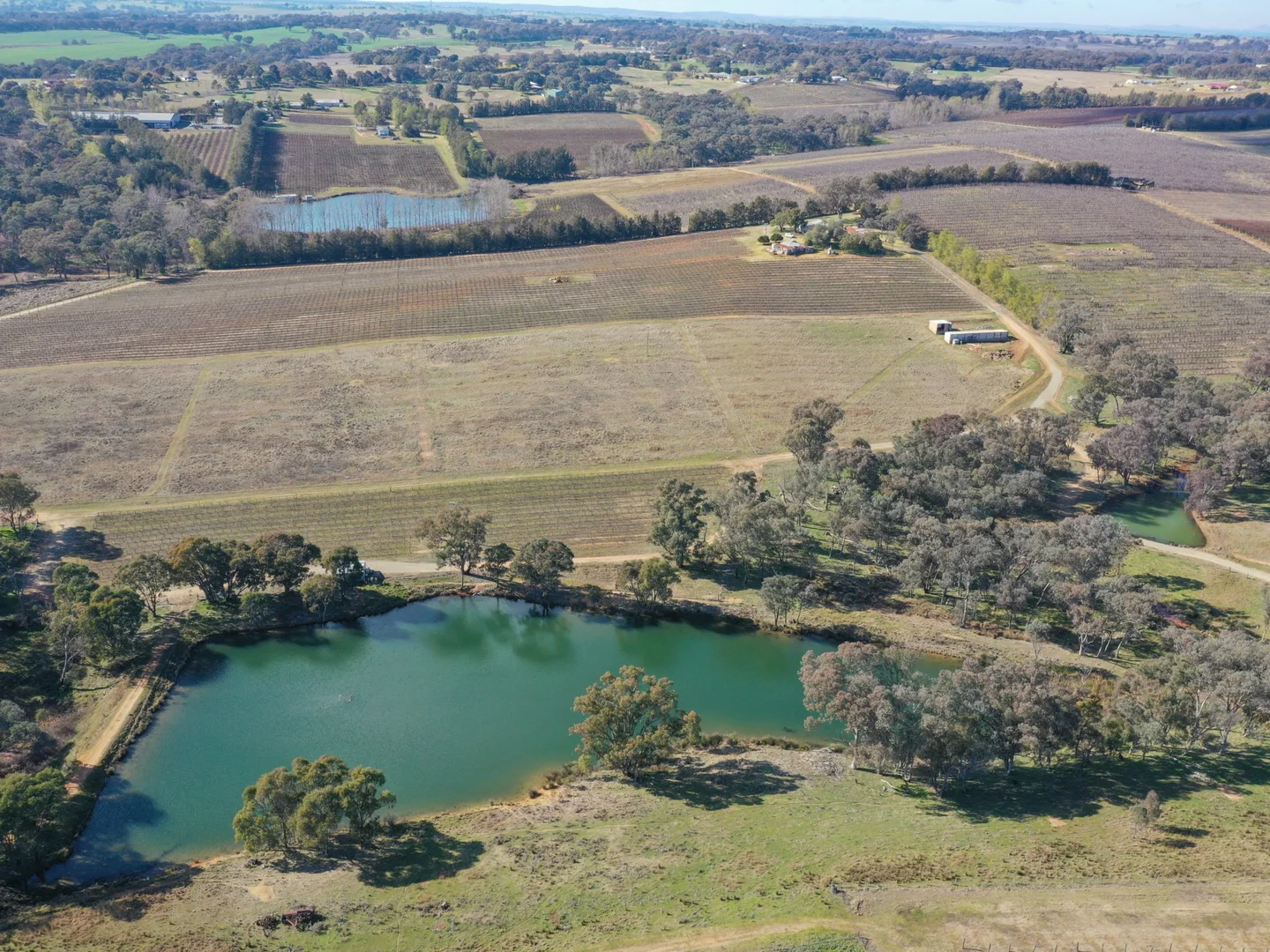 Additional image 13 of 155 Tierneys Road, Young NSW 2594