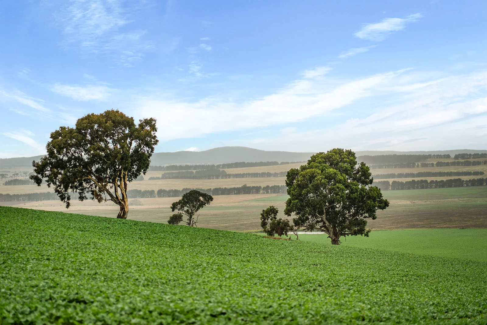 Additional image 12 of 4844 Braidwood Road, Tirrannaville NSW 2580