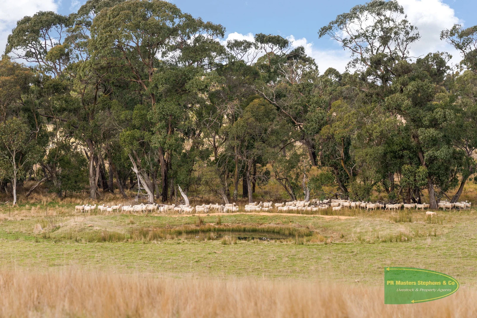 Additional image 35 of 800 Riverview Forest Road, Mozart NSW 2787