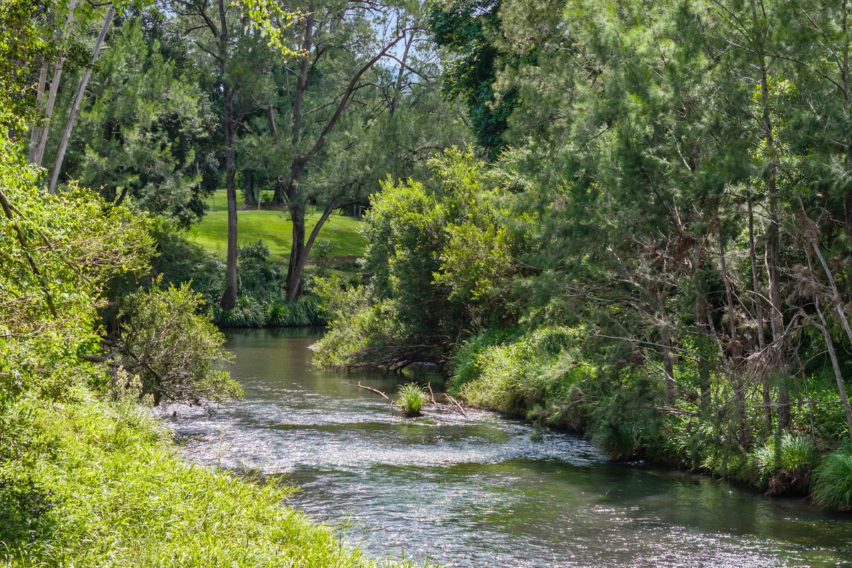 Additional image 3 of 602 Gradys Creek Road, Gradys Creek NSW 2474