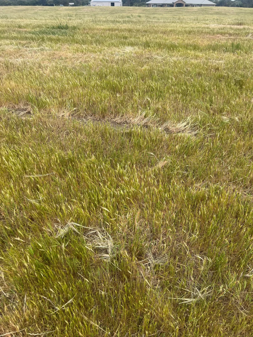 Additional image 5 of Lot 2 Ringwood Drive, Beachport SA 5280