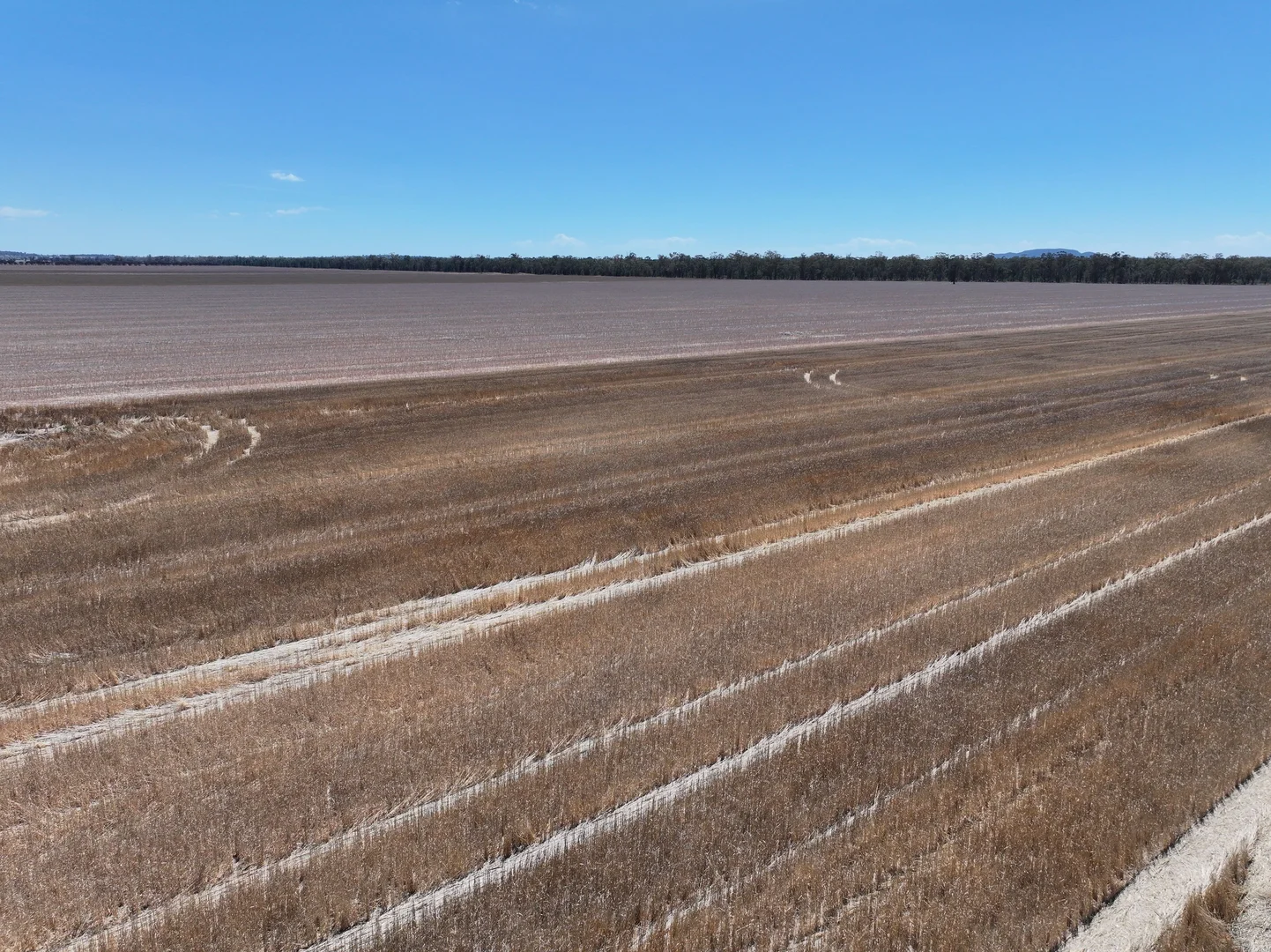 Additional image 2 of "Glen Avon" 99 Davies Lane, Caragabal NSW 2810