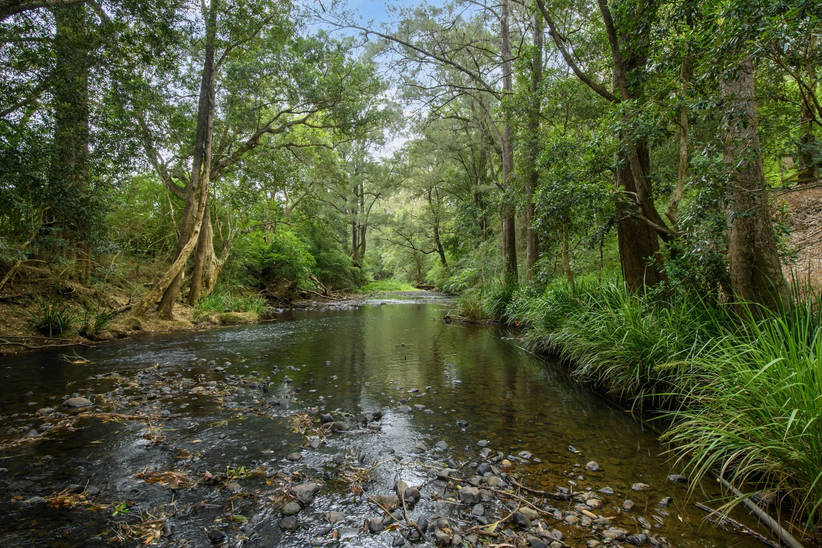 Additional image 29 of 1078 Comboyne Road, Byabarra NSW 2446