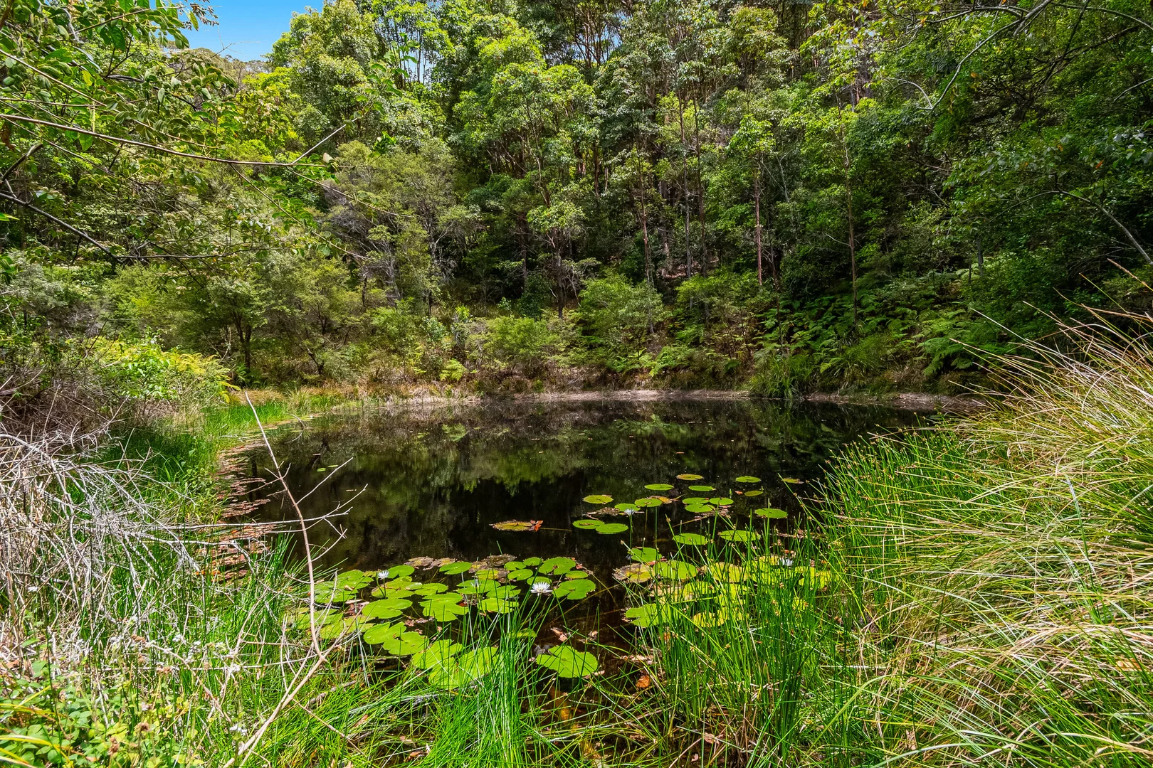 Additional image 4 of 110 Mcandrews Lane, Pimlico NSW 2478