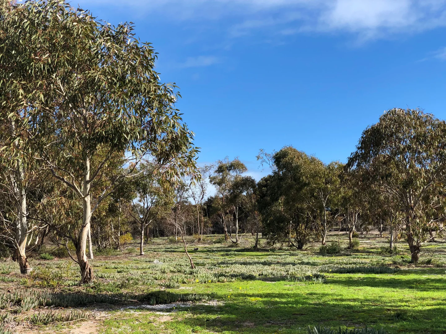 Additional image 15 of Parsons Beach SA 5575