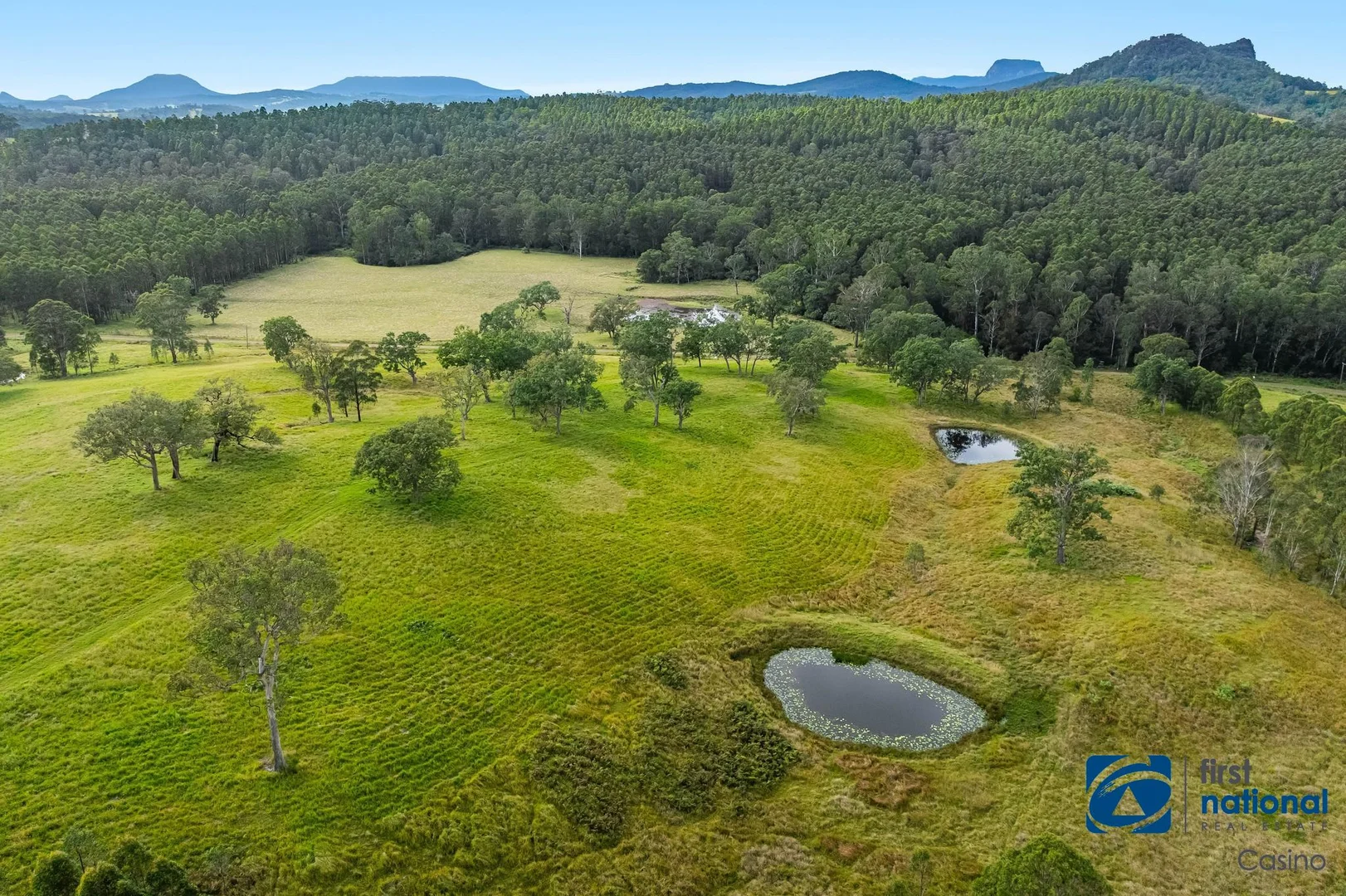 Additional image 3 of 1212 Beaury Creek Road, Urbenville NSW 2475