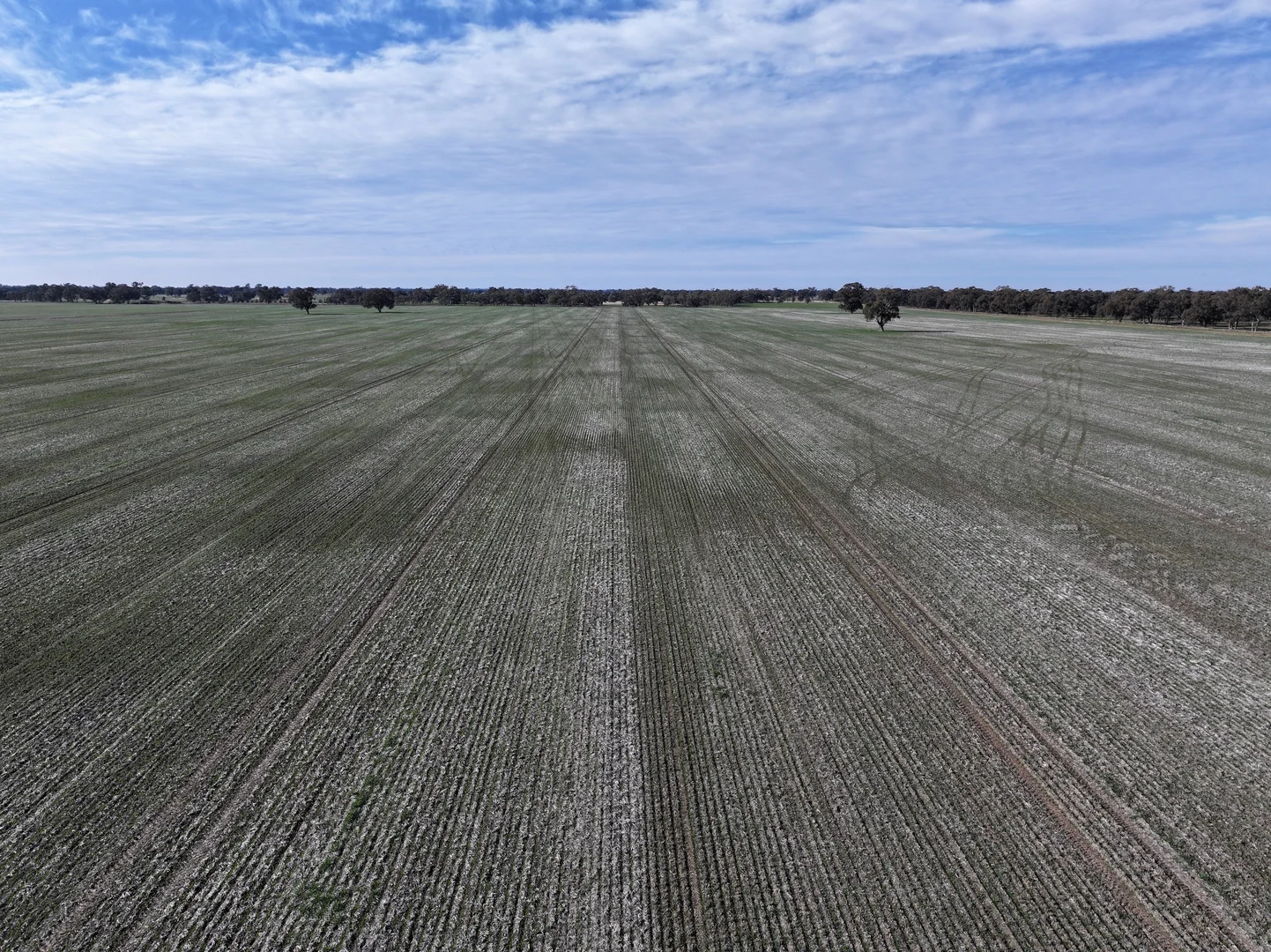 Additional image 15 of Berrigan Oaklands Road, Berrigan NSW 2712