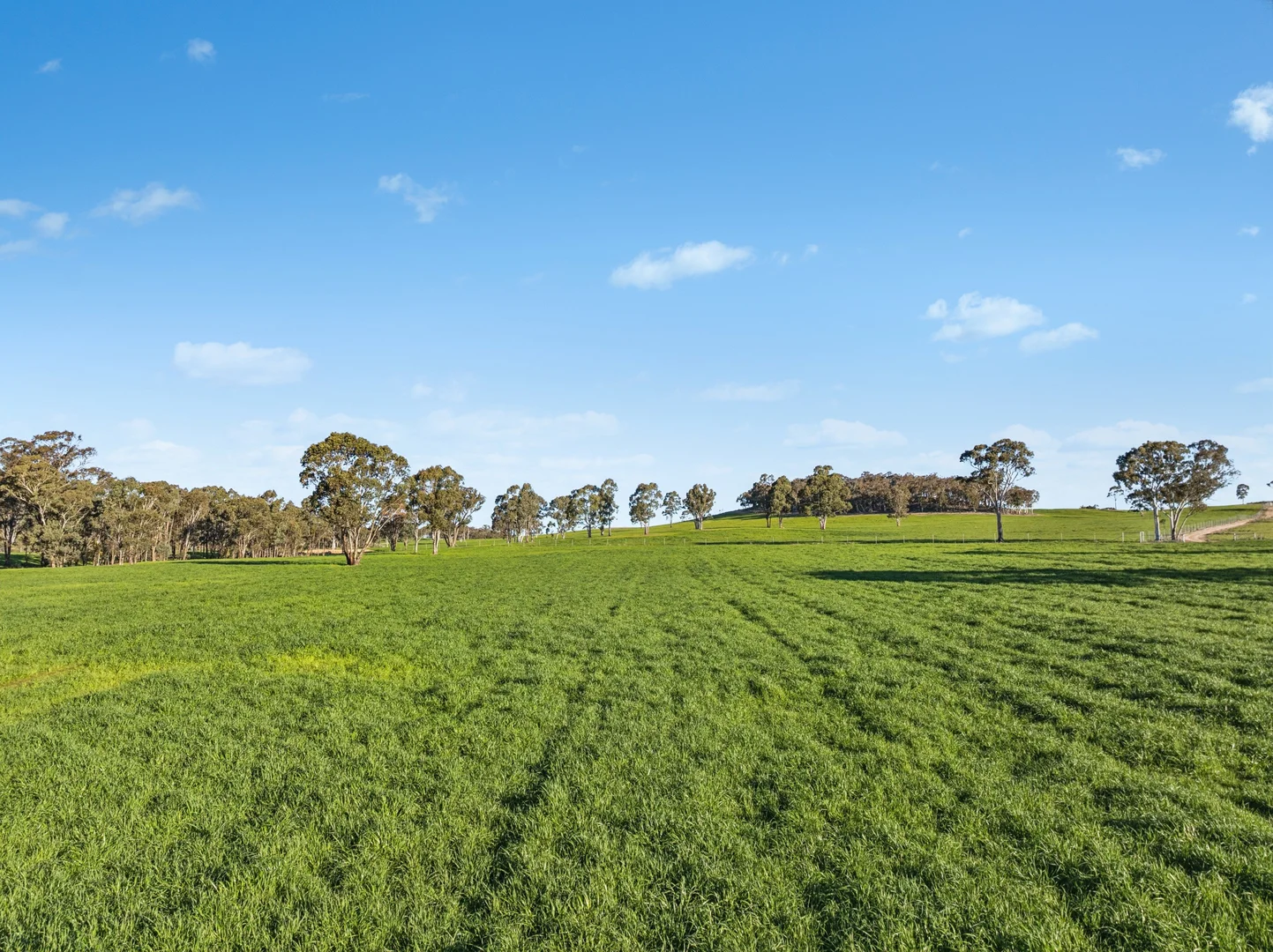 Additional image 4 of 318 Belgravia Road, Orange NSW 2800