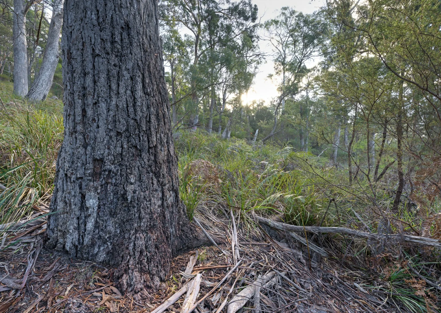 Additional image 8 of 367 Binalong Bay Road, St Helens TAS 7216