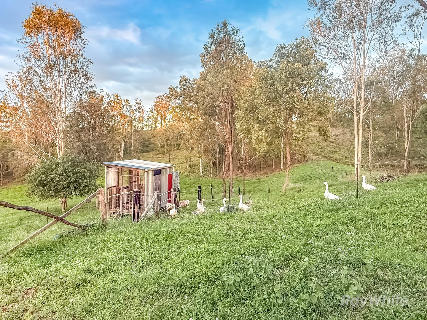 Additional image 37 of 199 Friarbird Drive, Moolboolaman QLD 4671