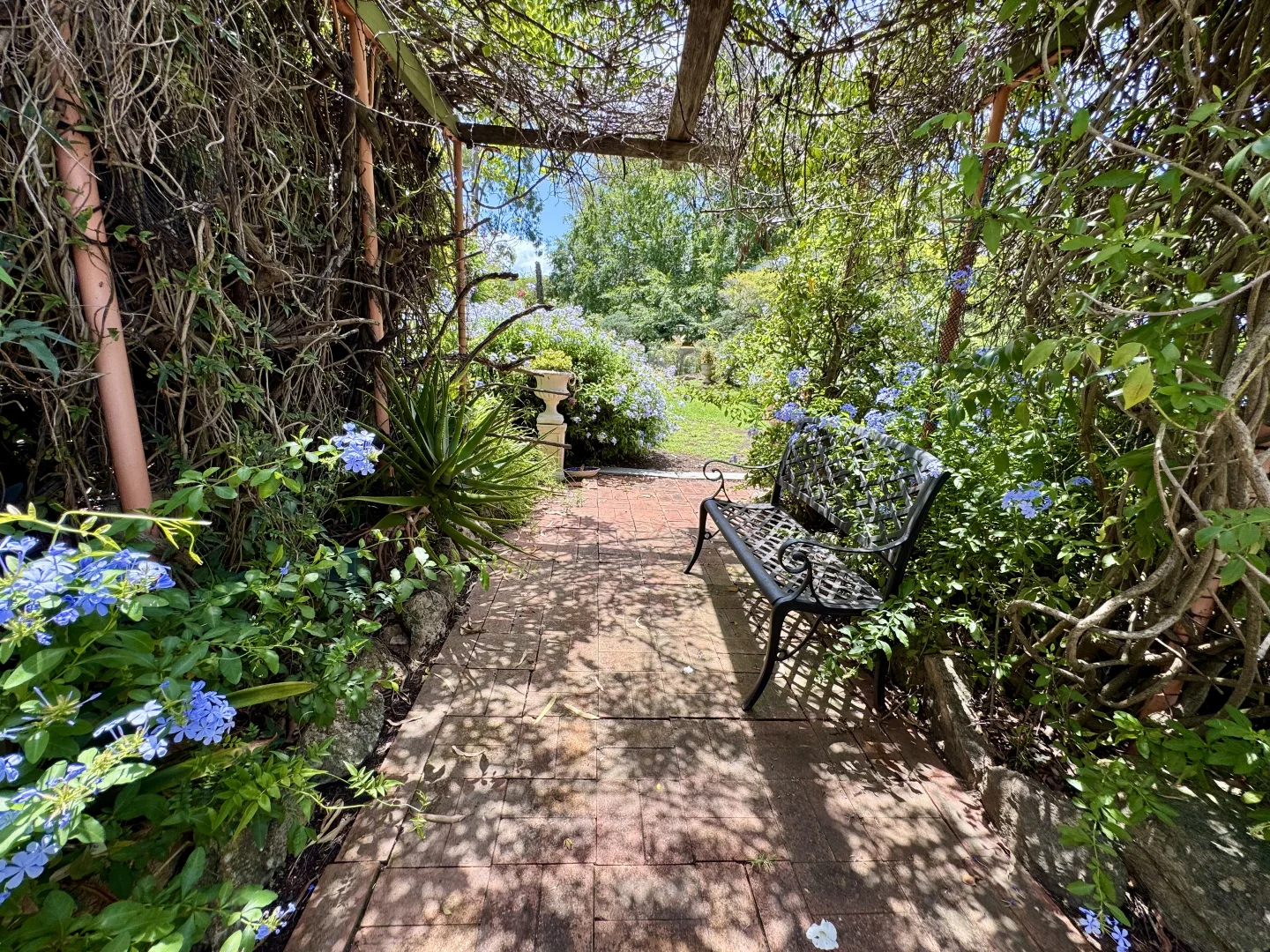 Additional image 11 of "Nullegai" 190 Thompson Creek Road, Scone NSW 2337