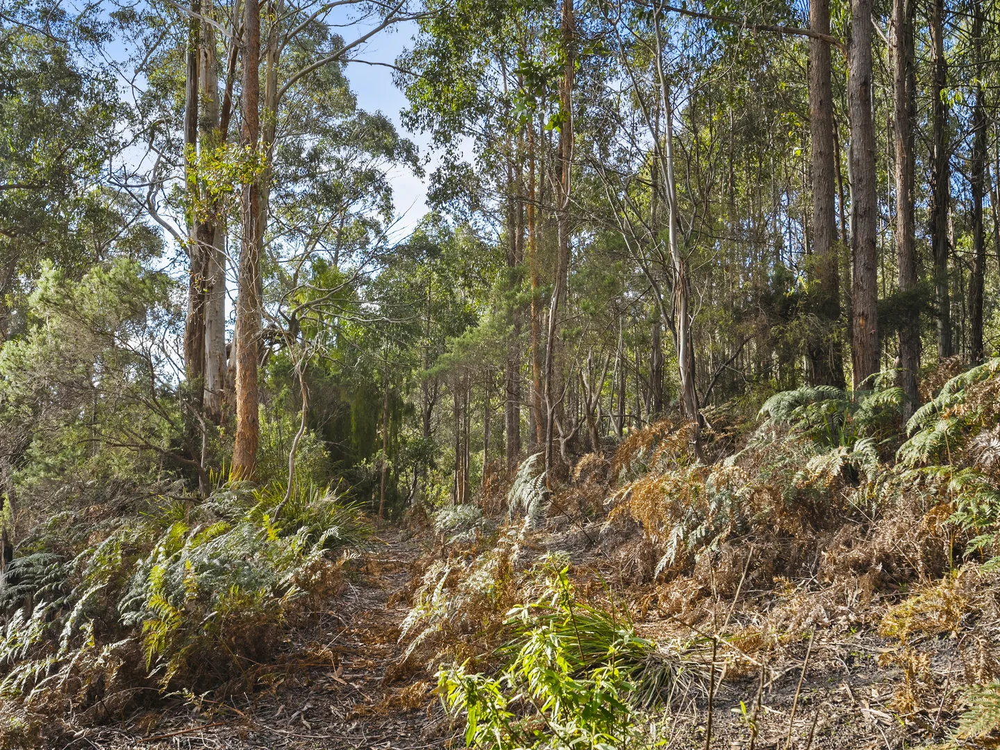 Additional image 18 of Lot 4 Tip Road, Nubeena TAS 7184