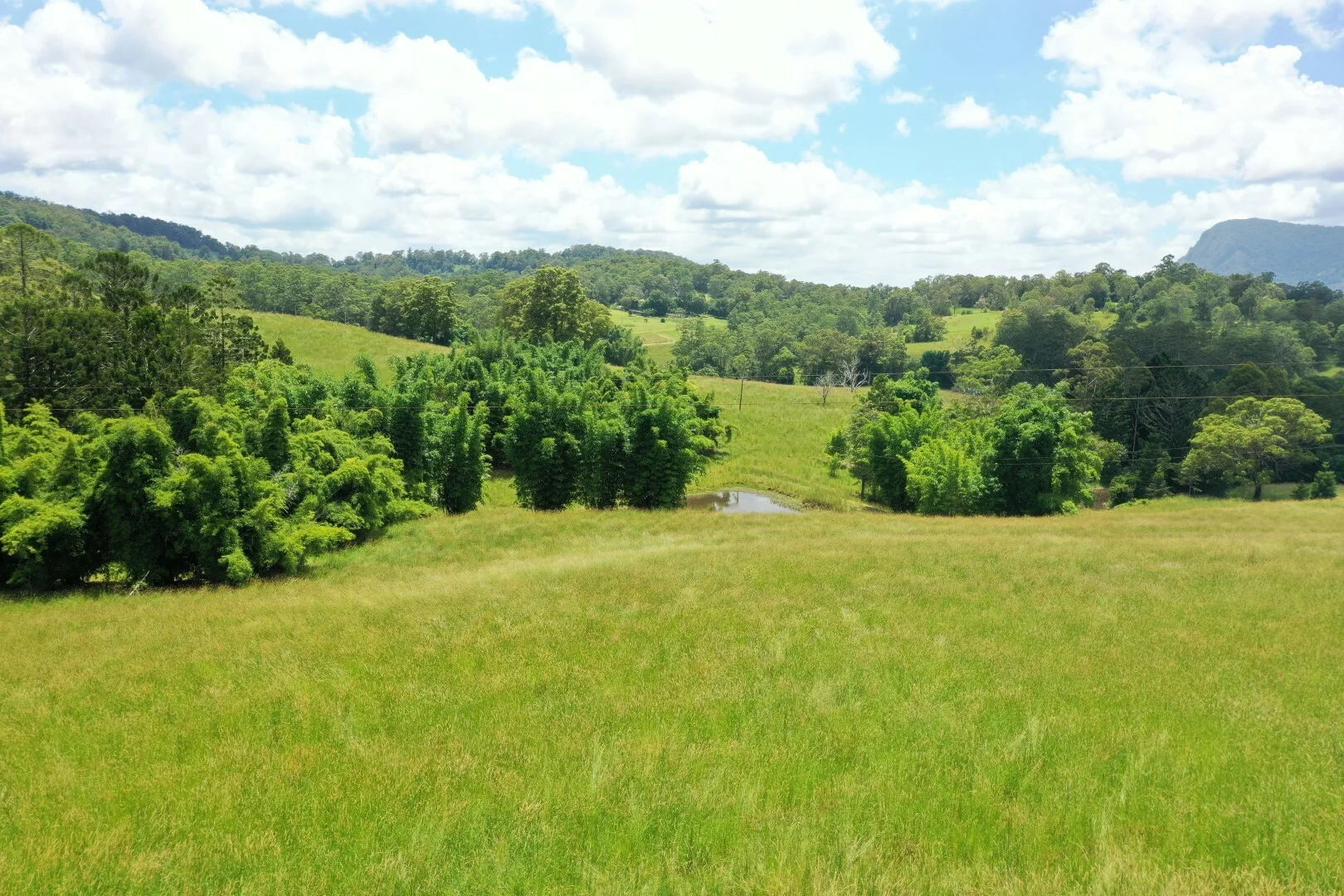 Additional image 25 of 66 Old Tweed Road, Wadeville NSW 2474