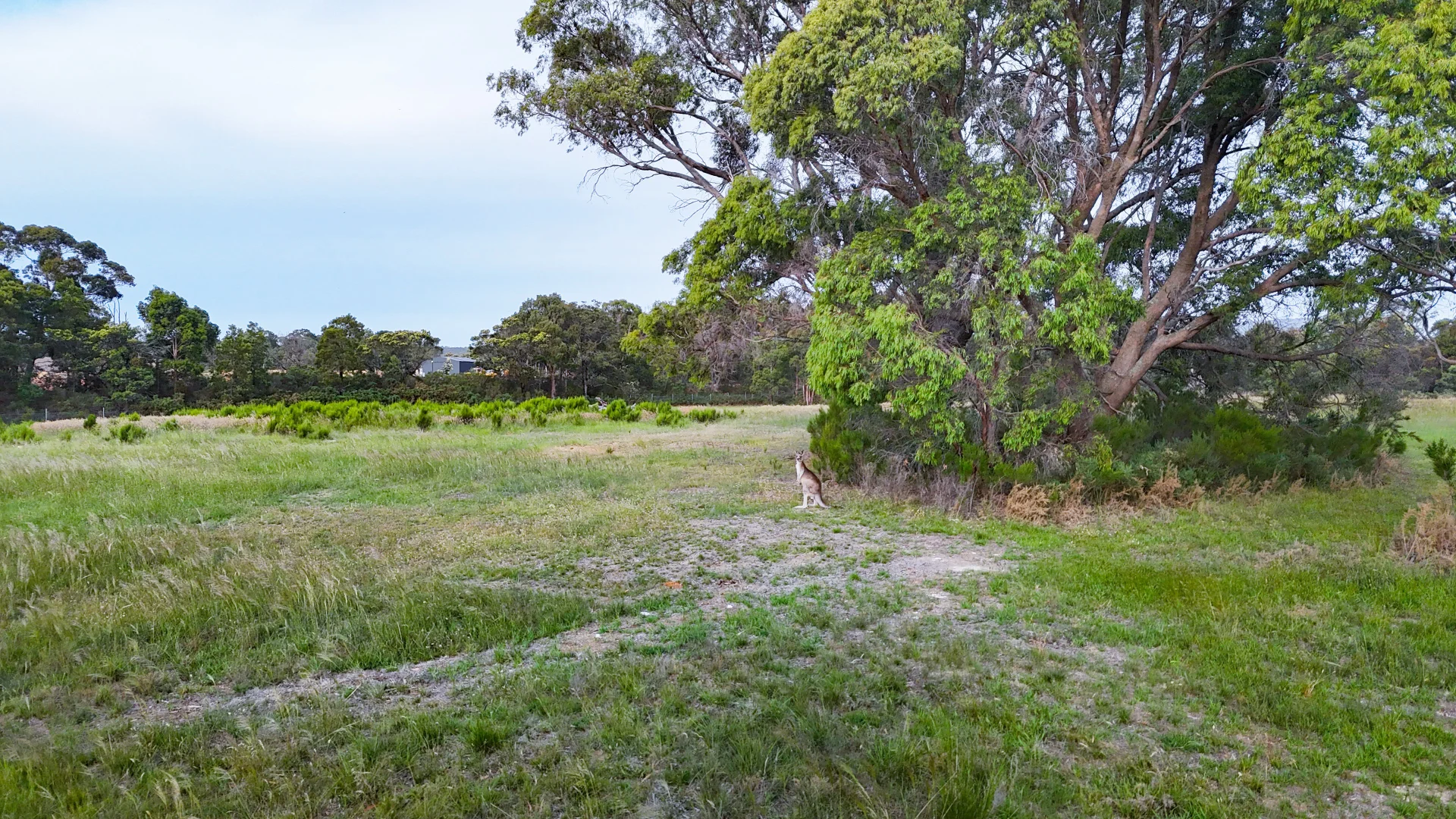 Additional image 5 of 215 Nolans Road, Buninyong VIC 3357