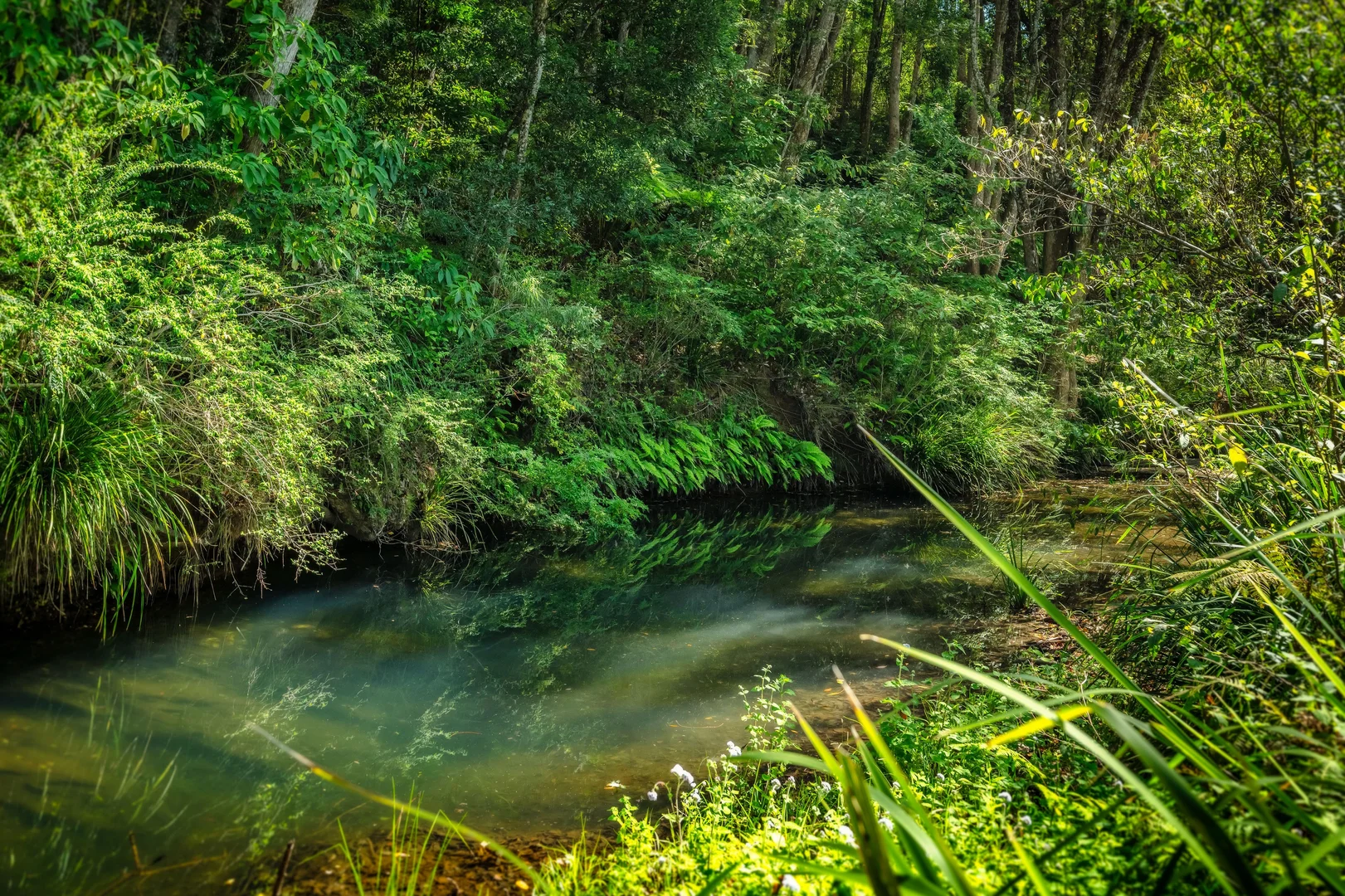 Additional image 2 of 259 Kalang Road, Bellingen NSW 2454