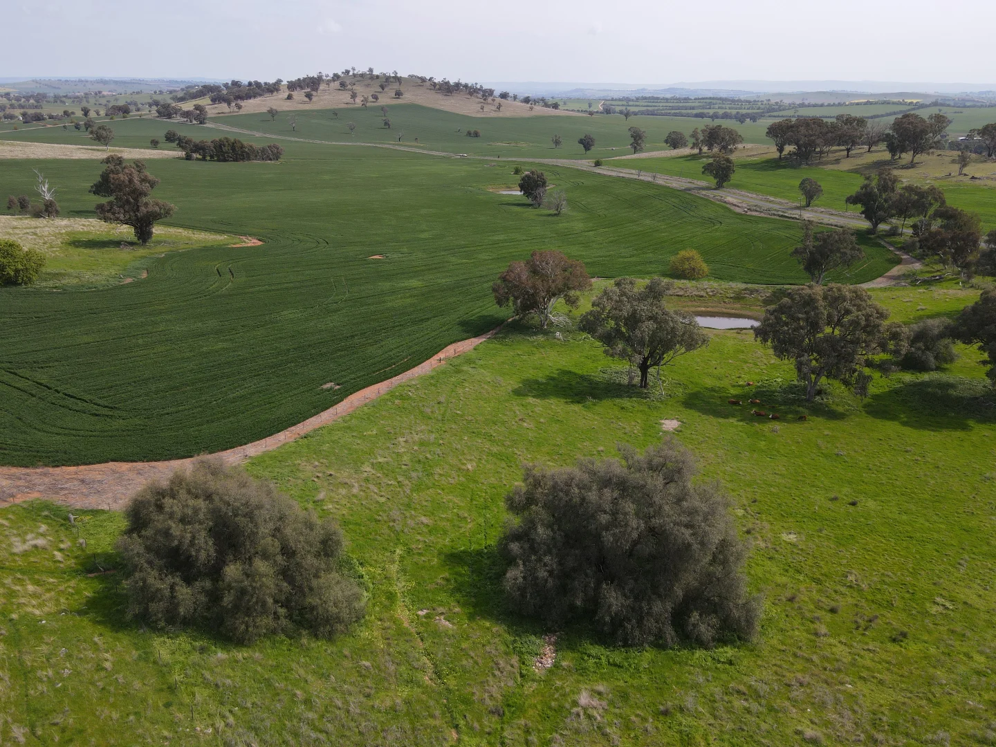 Additional image 3 of Woodstock NSW 2793