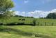 Additional image 16 of The Dens, Wadhurst, East Sussex, TN5