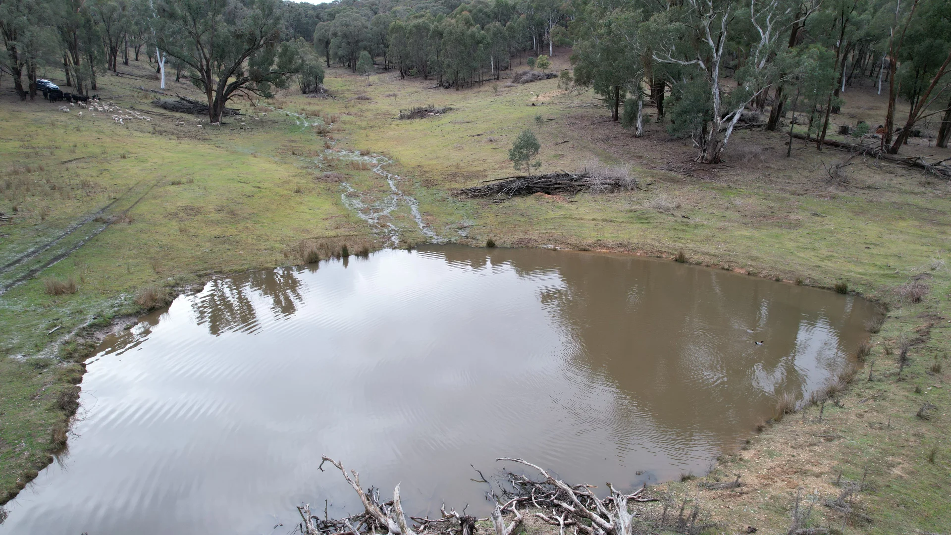 Additional image 8 of Lots 1, 4, 7 Glenroy Hills Road, Tumbarumba NSW 2653