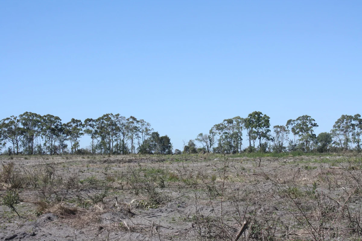 Additional image 9 of 13 Barnards Road, Moorland QLD 4670