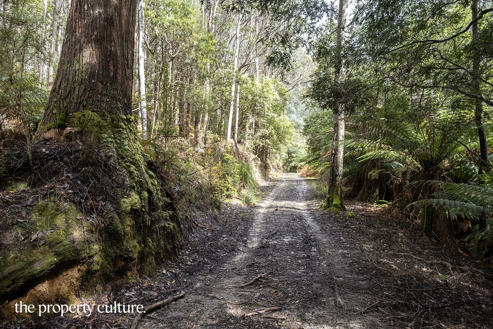 1, 2 & 3 Bakers Creek Rd, Lucaston TAS 7109