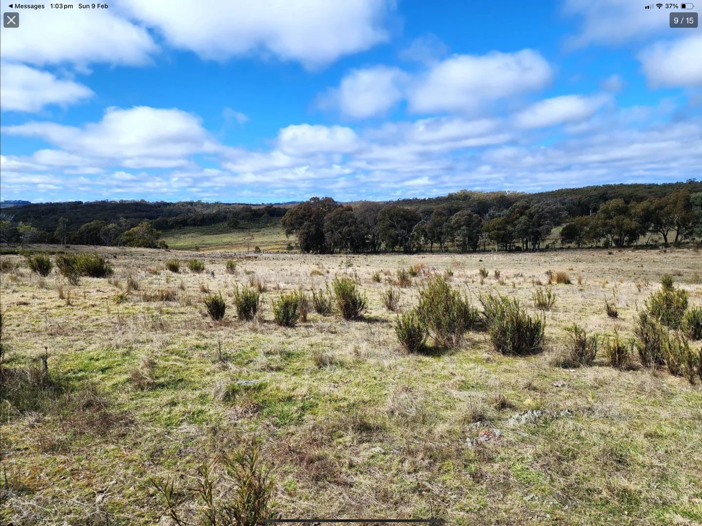 Additional image 14 of "Cummings Gap" Ullamalla road, Mudgee NSW 2850