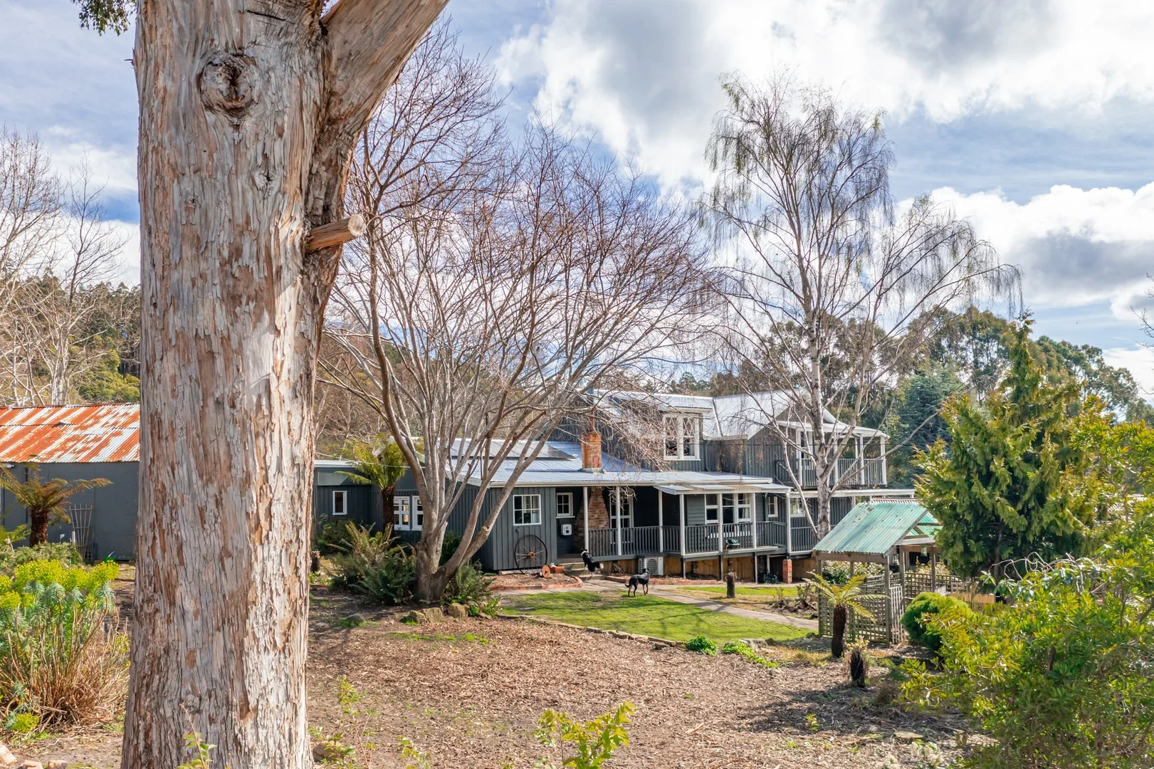 Additional image 28 of 304 Dickensons Creek Road, Glen Huon TAS 7109