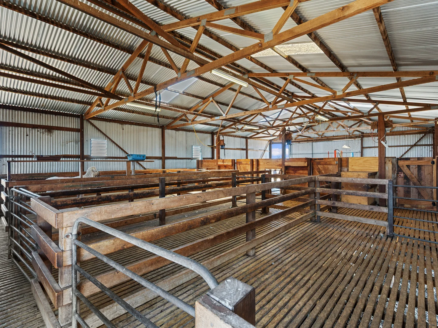 Additional image 6 of 2293 & 2640 Mallee Highway, Sherlock SA 5301