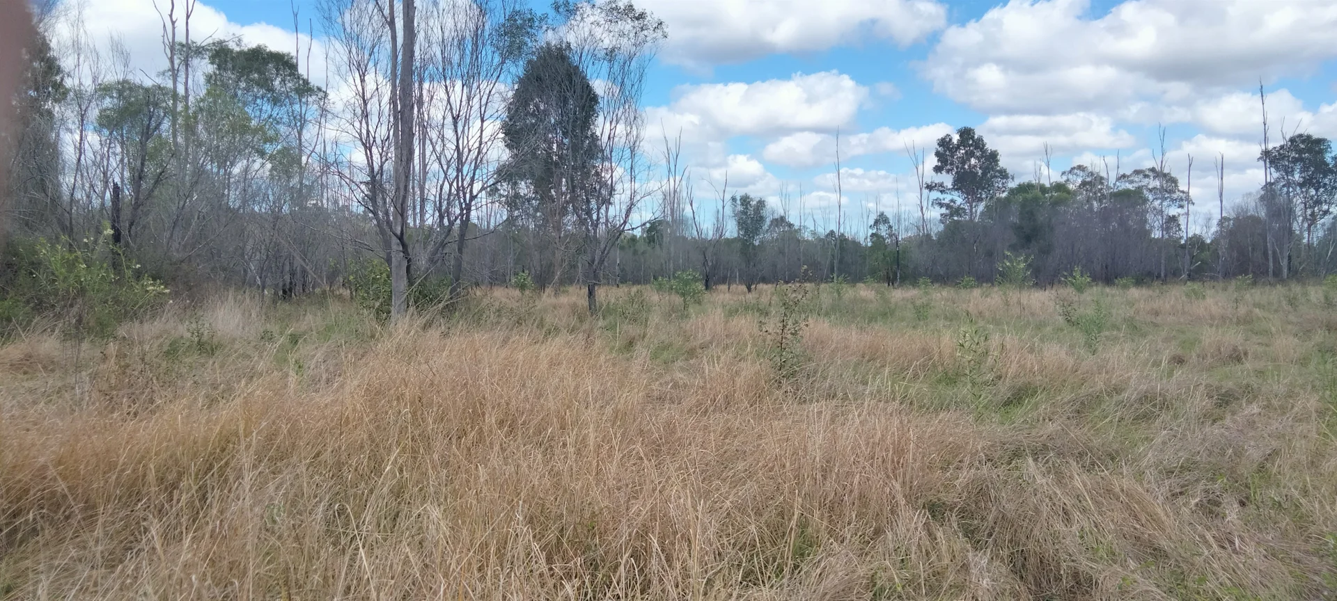 Additional image 29 of 3359 Lowmead Road, Lowmead QLD 4676