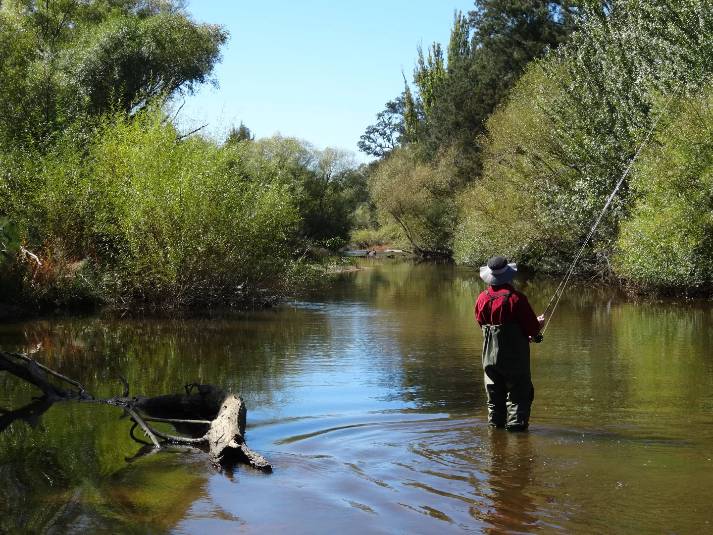 Additional image 38 of 808 White Rock Road, Bathurst NSW 2795