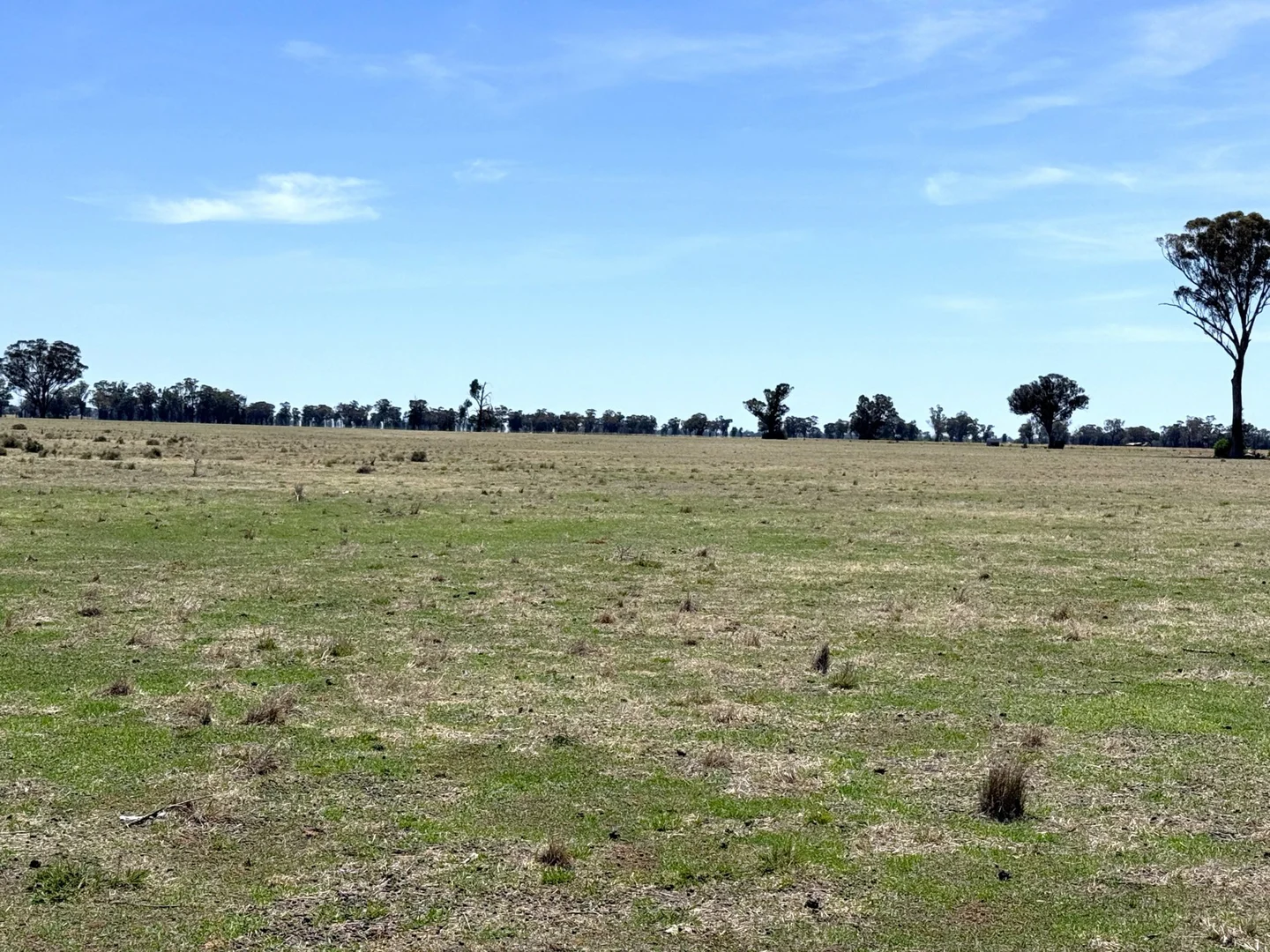 Additional image 13 of 1539 Bland Road, Quandialla NSW 2721